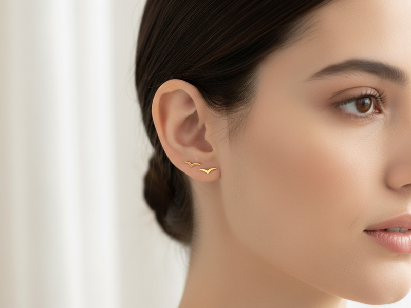 עגילים לחור שני