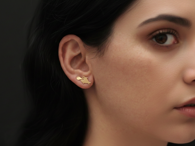 עגילי דגים צמודים לאוזן