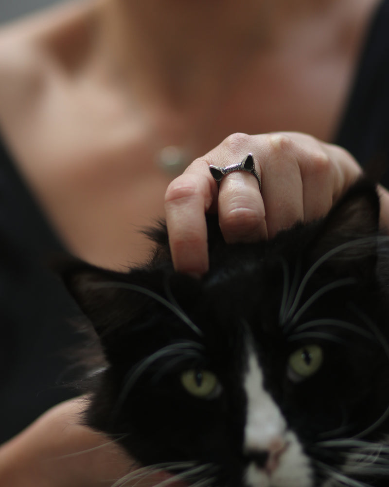 טבעת חתול מיוחדת