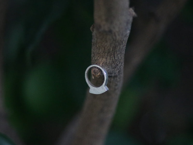טבעת מיוחדת לאישה
