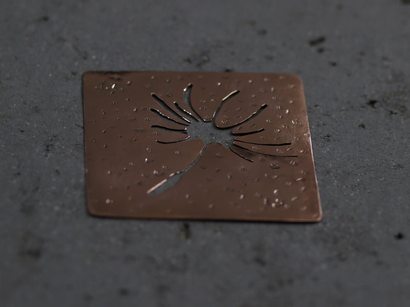 סדנת תמונות