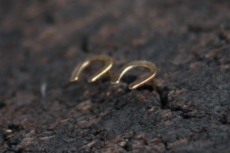 Small gold horseshoe earrings attached to the azon