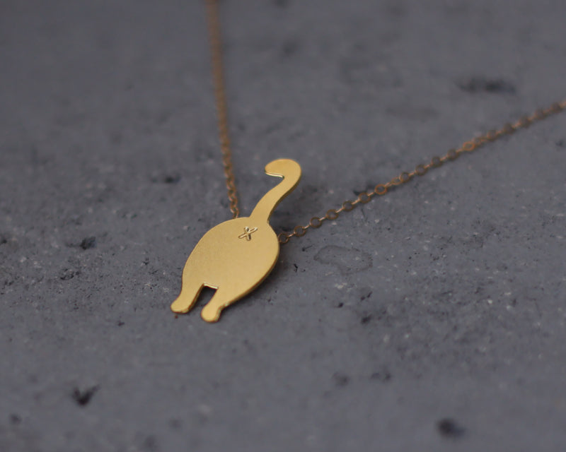 A cat's tusk necklace