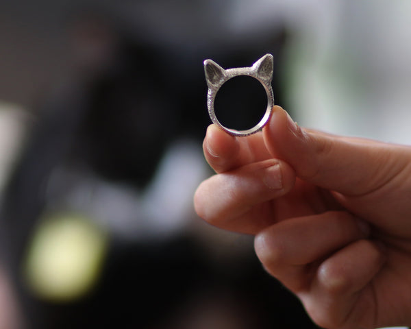 טבעת חתול